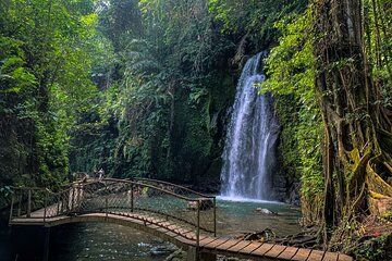 Ubud Private Tour: Monkey Forest, Falls, Temple and Rice Terraces