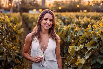 VIP Tour Exclusive Etna Winery Gourmet Tailored Luxury Car