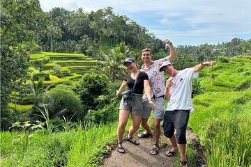 Ubud Private Half Day Tour with Monkey Forest and Waterfall