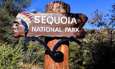 Giant Sequoia National Park Private Day Tour from Los Angeles