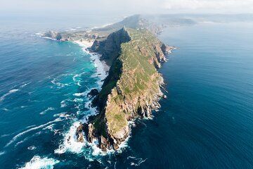 Cape Peninsula Tour Camps Bay and Cape Point with Wine Tasting