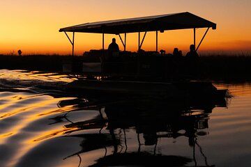 Chobe National Park Safari Daytrip from Livingstone