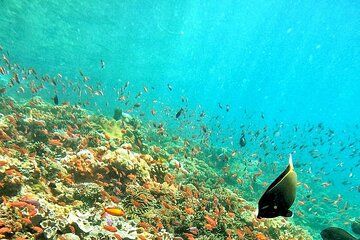 3 Days Bali Adventure