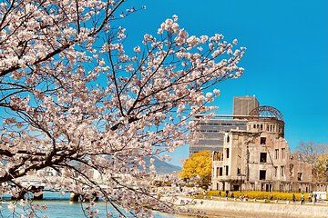 Hiroshima Iwakuni Sakura Journey Discover Japans Blossoms