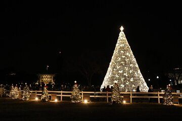Holiday Lights Tour at US Capitol and White House