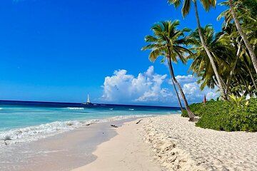 A Magical Day on Saona Island