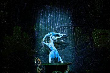 Beijing Red theatre Acrobatics Show Ticket Booking