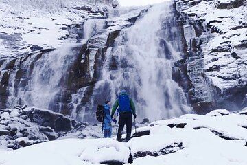 Valnesfossen Tour Experience