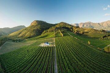 Wine Tasting Private Tour in Franschhoek and Stellenbosch