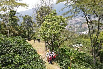 Experience in Coffee Hacienda in Medellin