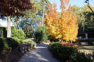 The 2 Hour BYOB Greenville City Cycling Tour