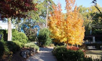 The 2 Hour BYOB Greenville City Cycling Tour