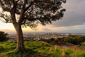 Culture and Māori Heritage Private Tour In Auckland