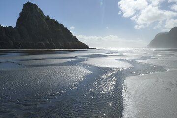 Auckland West Coast Rainforest and Beach Tour