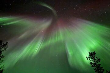 Whitehorse 4 Day Aurora Tour Wildlife Preserve and Hot Springs