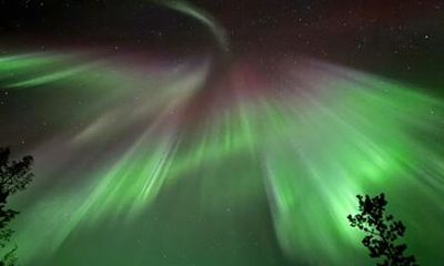 Whitehorse 4 Day Aurora Tour Wildlife Preserve and Hot Springs