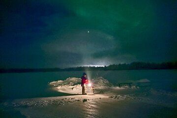 Northern Lights Kick Sled Adventure with Reindeer and Kota