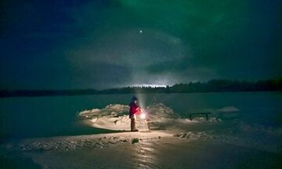 Northern Lights Kick Sled Adventure with Reindeer and Kota