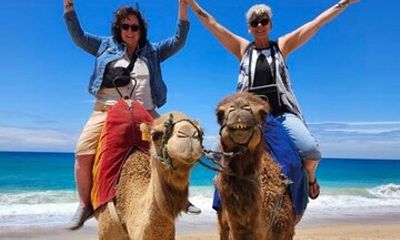 Private Day Trip VIP Tour to Tangier from Tarifa or Algeciras