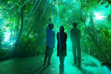 Japan: Light Cycles Kyoto