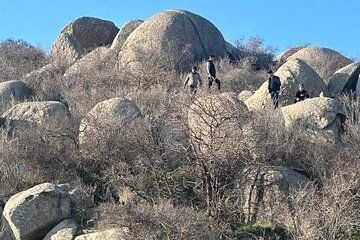 The Birthplace of Amir Timur A Tour to Shahrisabz