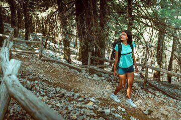 Kefalonia 4x4 Adventure to Mount Ainos with Village Lunch