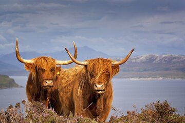 Private Tour of Aberdeenshire Shore Excursion