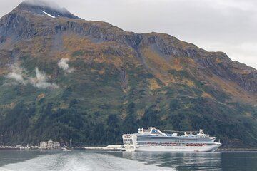 Cruise Transfer & Wildlife Tour: Anchorage to Whittier