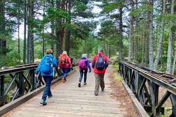 Scottish Highlands Walking Small Group Tour from Edinburgh