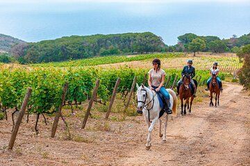 Exclusive Horseback Riding and Wine Tasting Tour from Florence