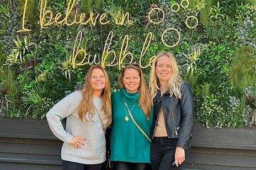 Ultimate Wine Country and Niagara Falls Private Tour with Lunch