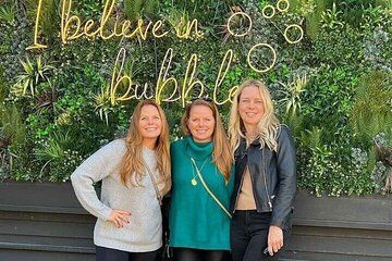 Ultimate Wine Country and Niagara Falls Private Tour with Lunch