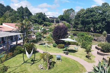 Algarve Private Wine and Food Tour From Faro