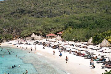 Curaçao Full-Day Tour: Hato Caves, Turtles, Kenepa & Flamingos