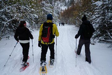 Snowshoes in Andorra