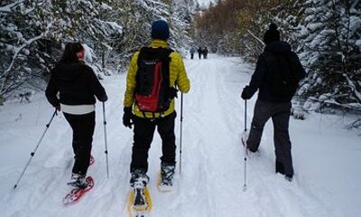 Snowshoes in Andorra