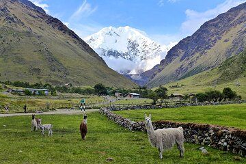 Salkantay Trek 4 Days to Machu Picchu Via Humantay Lake