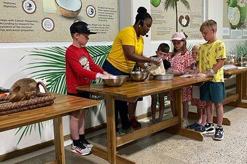Roatan Coconut Roots Sloths Reef Snorkeling and Brady Cay Beach