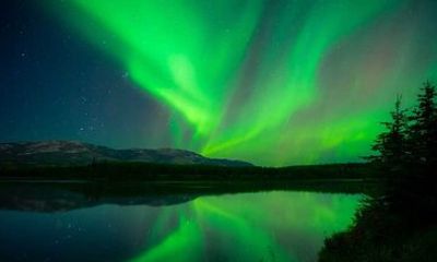 Whitehorse 3 Day Aurora Tour Wildlife Preserve and Hot Springs