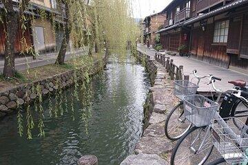 Kyoto Highlights and Local Streets E-Bike Tour