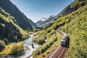 Legendary Flam Railway and UNESCO Fjord Cruise from Gudvangen