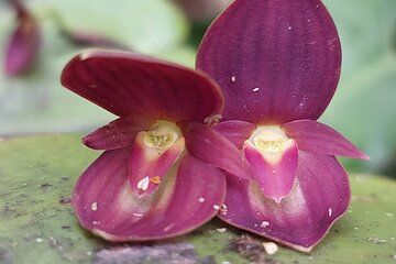 Private tour Continental divide nature hike