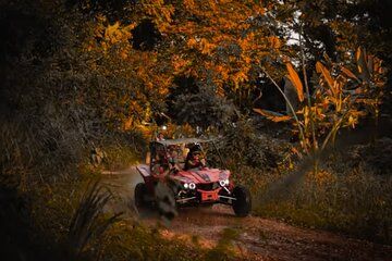 ATV and Buggy Excursion 4x4 in Punta Cana Vip Free Pickup Hotel
