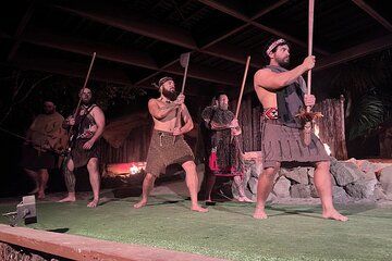 Private Tour: Rotorua Adventure, Kiwi Hatchery & Māori Culture