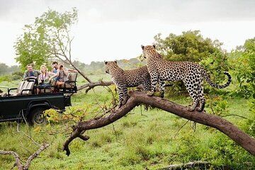 Sri Lanka 8 Day Wildlife Tour with Entry and Adventures Fees