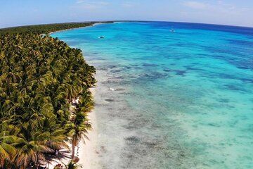 Saona Island Speedboat Adventure and Turtle Sanctuary Visit