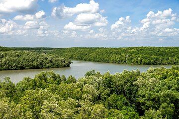 Private Ho Chi Minh City Highlights and Nature Escape Tour