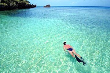 Private Snorkeling Charters in Roatan