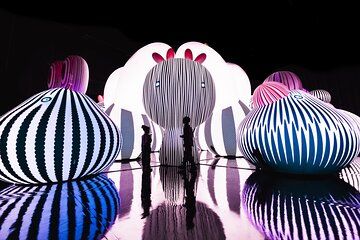 Balloon Museum Dallas Admission