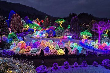 Nami island & Garden of Morning Calm Night Tour